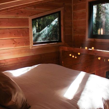 Cabanas Bosque Milenario Coñaripe Buitenkant foto