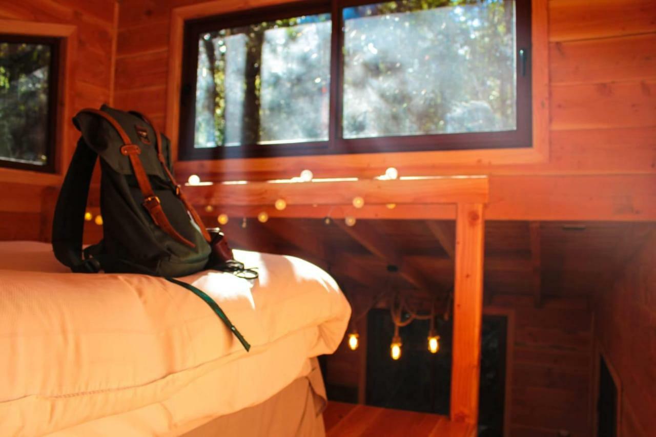 Cabanas Bosque Milenario Coñaripe Buitenkant foto