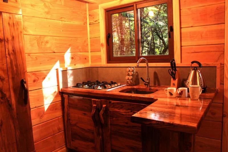 Cabanas Bosque Milenario Coñaripe Buitenkant foto