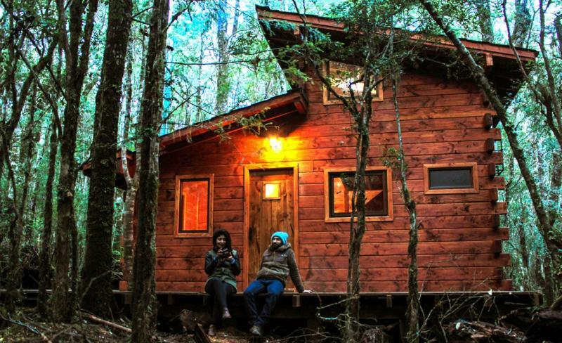 Cabanas Bosque Milenario Coñaripe Buitenkant foto