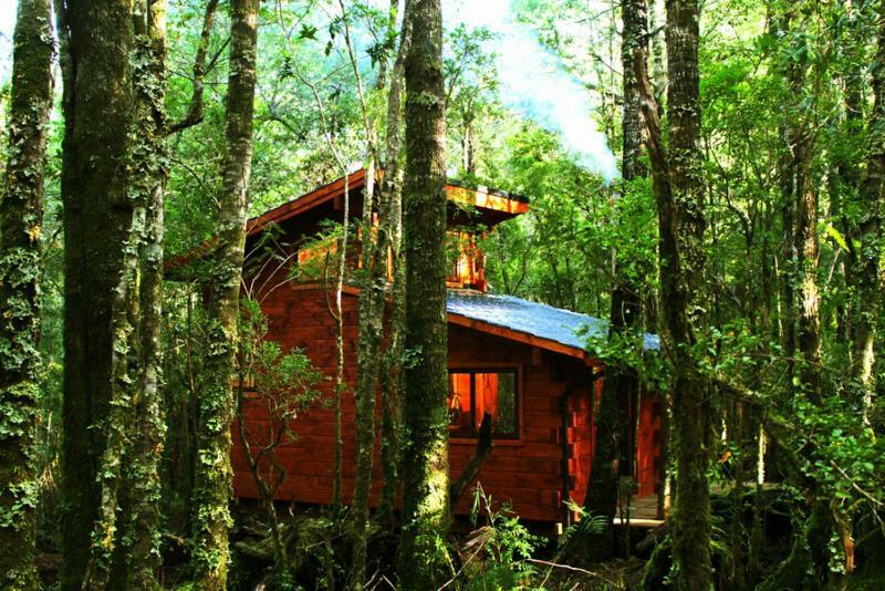 Cabanas Bosque Milenario Coñaripe Buitenkant foto