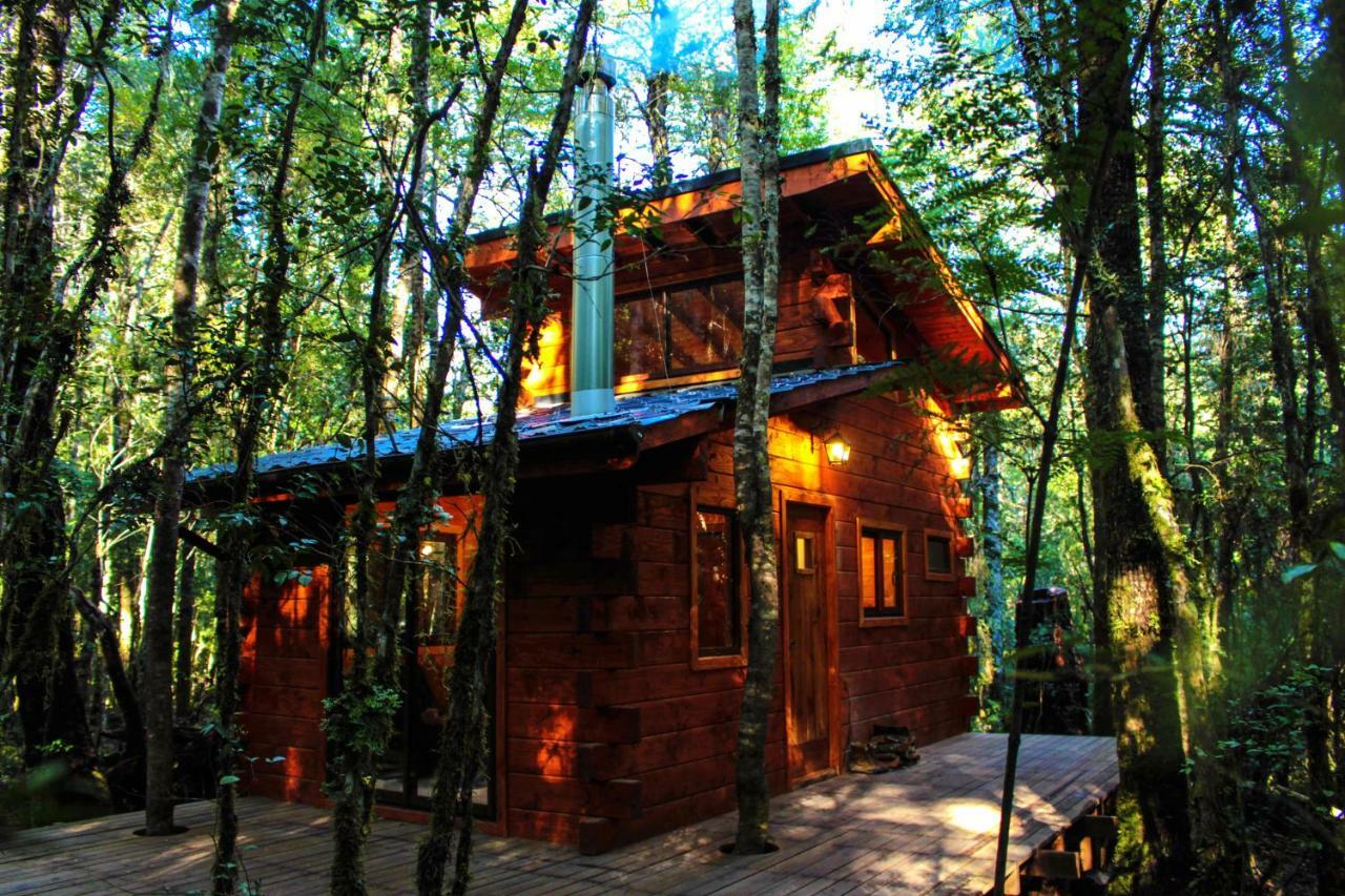 Cabanas Bosque Milenario Coñaripe Buitenkant foto