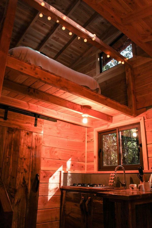 Cabanas Bosque Milenario Coñaripe Buitenkant foto